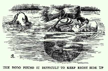 dodo